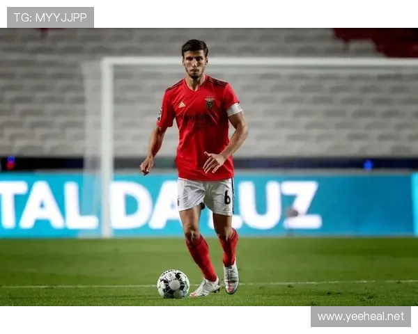 鲁本·迪亚斯：多赛季英超零封数领跑分析