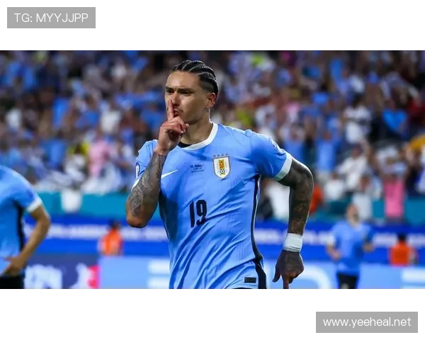 努涅斯与卢卡库:身体型前锋的终结效率及战术角色对比分析 努涅斯与卢卡库:身体型前锋的终结效率及战术角色对比分析