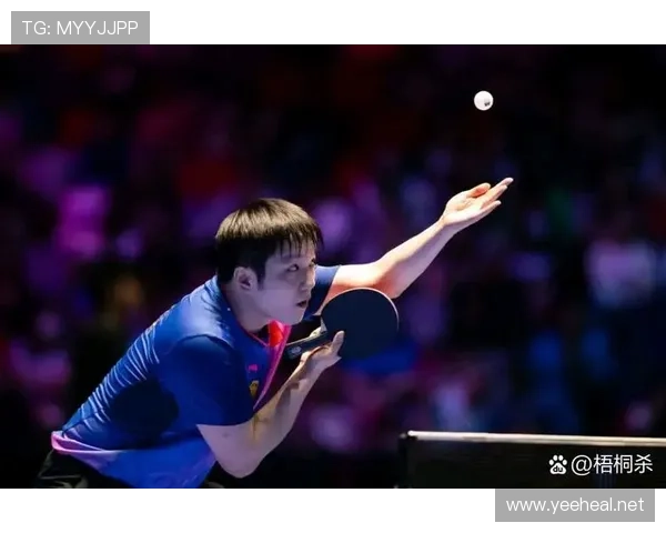 樊振东一场训练结束，手机壳价值组装了个小金库网友炸了