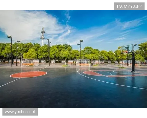 篮球赛场：深度解析球权判定规则的各项细则